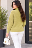A Must-Have Light Green High-Neck Sweater
